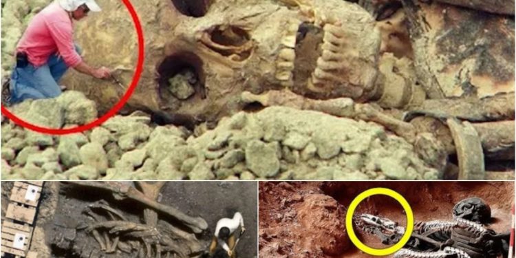 Egyptian Archaeologists Unearth Astonishing Giant Skeleton in Recumbent Pose, Leaving Everyone Stunned